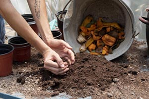 Agora é lei: escolas deverão instalar composteiras orgânicas