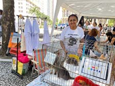 Dezembro Verde: Câmara do Rio promove feira de doação de animais