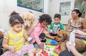 Importância dos animais para saúde mental é tema do Câmara Rio Debate