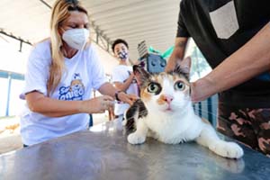 Reportagem especial da Rio TV Câmara mostra o uso da tecnologia em prol dos animais